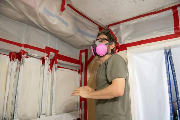 Professional Mold Removal in Seminole, FL